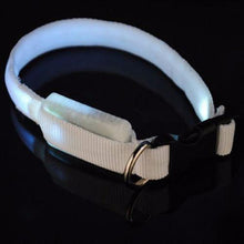 Load image into Gallery viewer, Premium Glow-In-The-Dark LED Safety Collar
