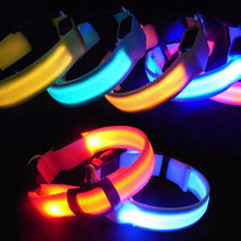 Load image into Gallery viewer, Premium Glow-In-The-Dark LED Safety Collar
