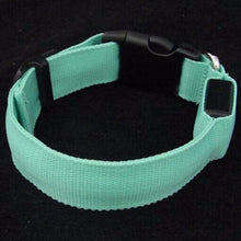 Load image into Gallery viewer, Premium Glow-In-The-Dark LED Safety Collar
